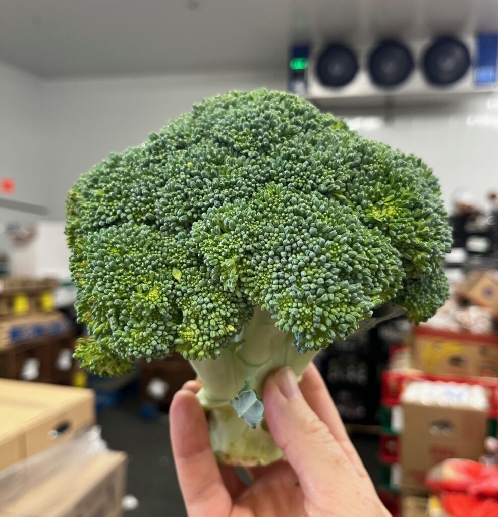 Picture of fresh broccoli at Quest